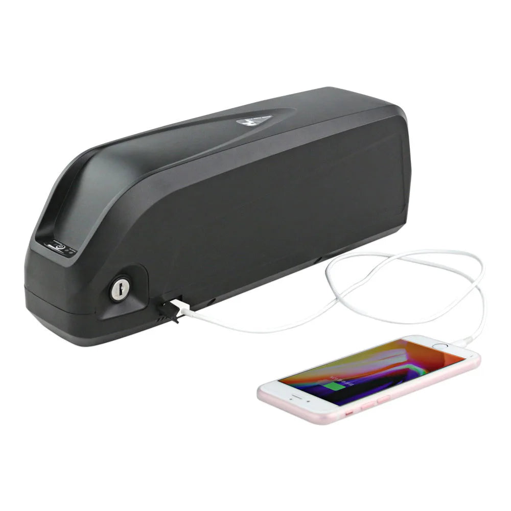 Electric Bike Lithium Battery 36V/48V/52V