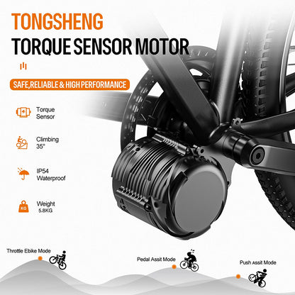TONGSHENG TSDZ8 48V 750W Torque Sensor Mid Drive Motor Kit